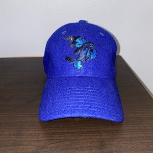 Disney Hat